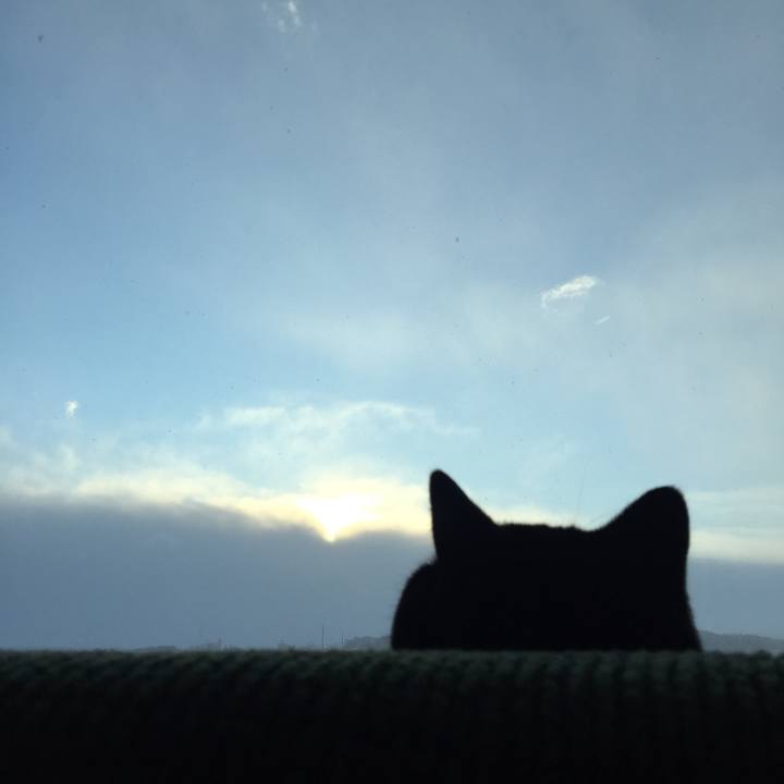 7c4beea0 6321 4f66 9351 907efa301ed3 1516863972937