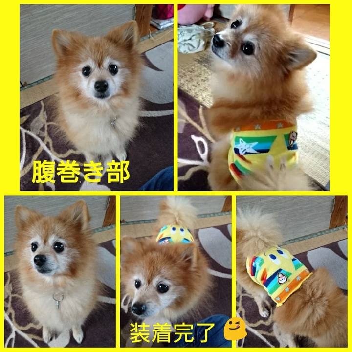 7c4c010c ef47 4b9b a052 5c370a2a09d6 1509843191081