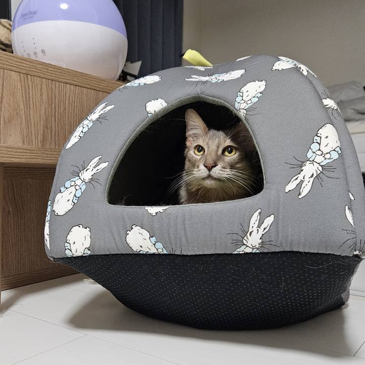 7c4c19ad e884 40ae b56a 8d9aad213f71 1707044617921