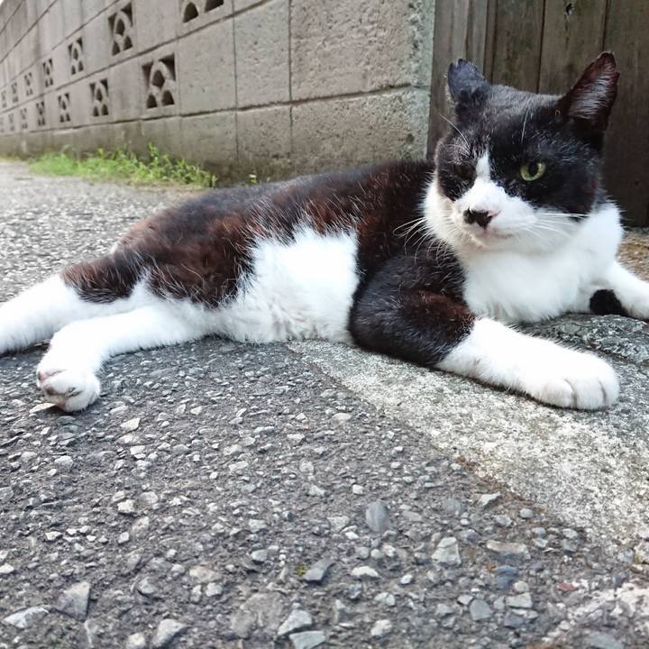 7c4c1fa1 f5d6 4689 819b 868eade1e38c 1692523321739