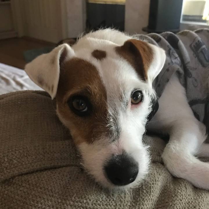 7c4c2e0d ae02 441f 833a cb70d1f65be2 1526854165815