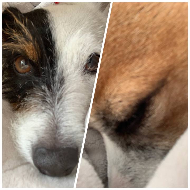 7c4c5db9 061e 4fe4 bf86 40c4d7909930 1551678791269