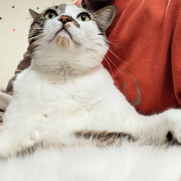 7c4c6bfd 7e15 4471 a247 6de864ecccff 1708769152917