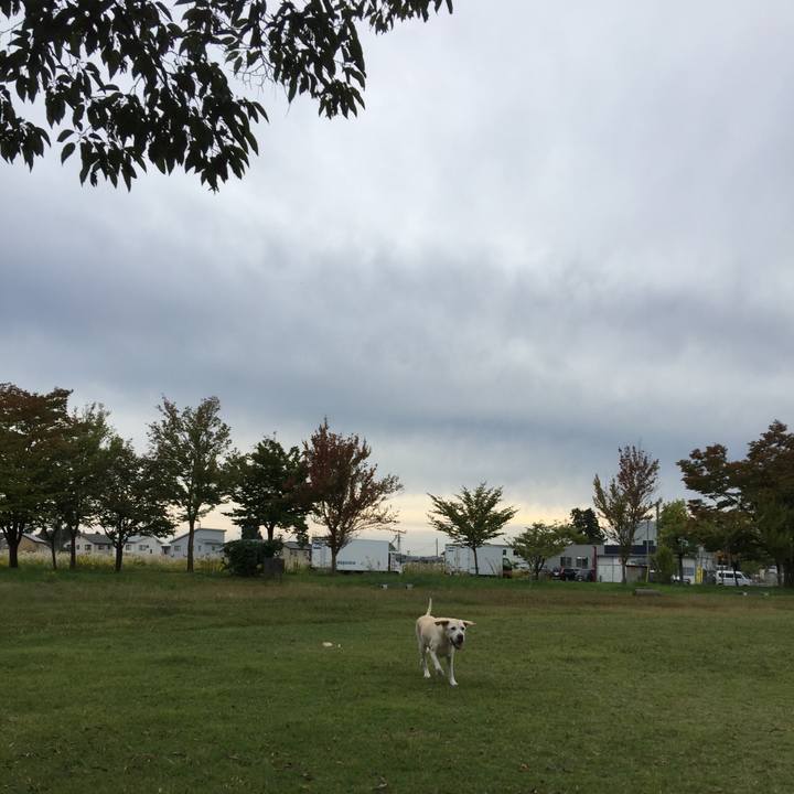 7c4c8225 8778 40f7 9293 04a06e19bff9 1508319810011