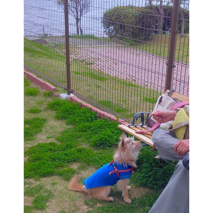 7c4c9df3 b2bd 489a a528 839ae27856da 1552216543566