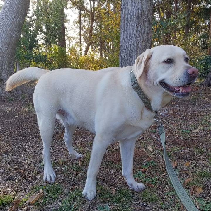 7c4cdfd7 743f 426c 9d16 6a6b1764c8df 1574317046013