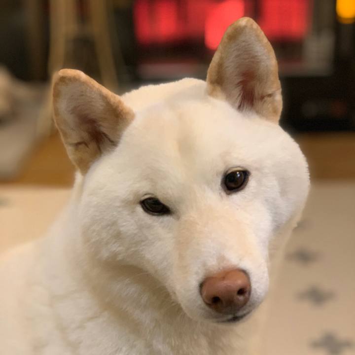 7c4d108c b22a 4a76 9241 3d7d4fc9a706 1550312414777