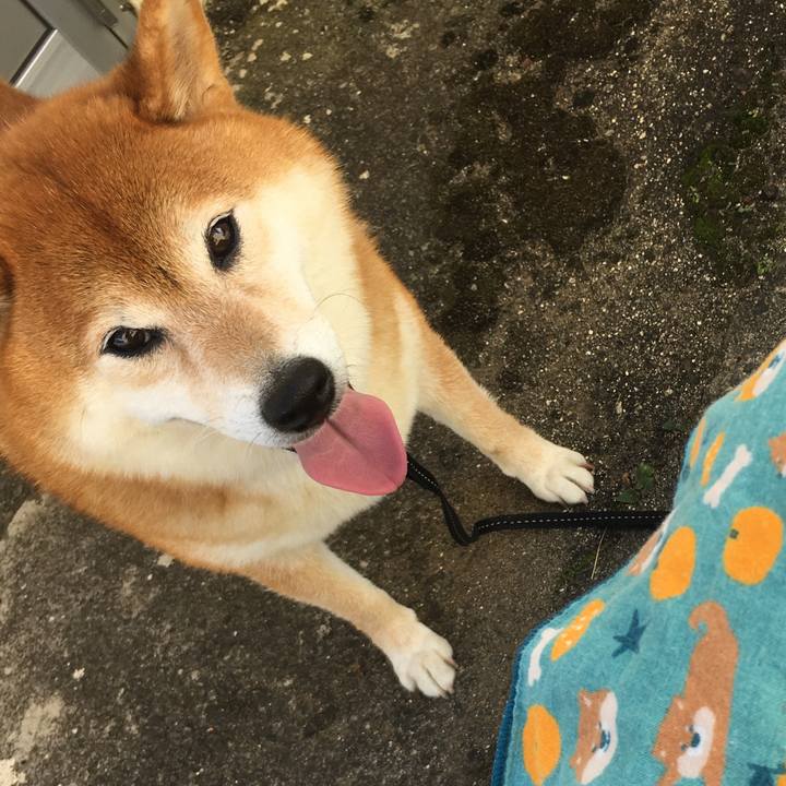 7c4d2ef5 e486 4b2c be60 e818285ab031 1630243413069