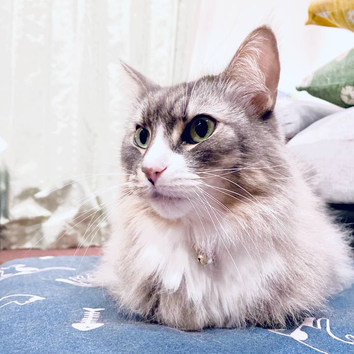 7c4d3cbb e5f3 447b a1ea e7a284d65115 1703175274920