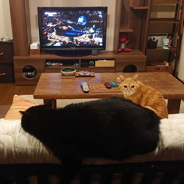 7c4d63c3 21ef 4df6 a928 29bf381d5c8a 1627049572071