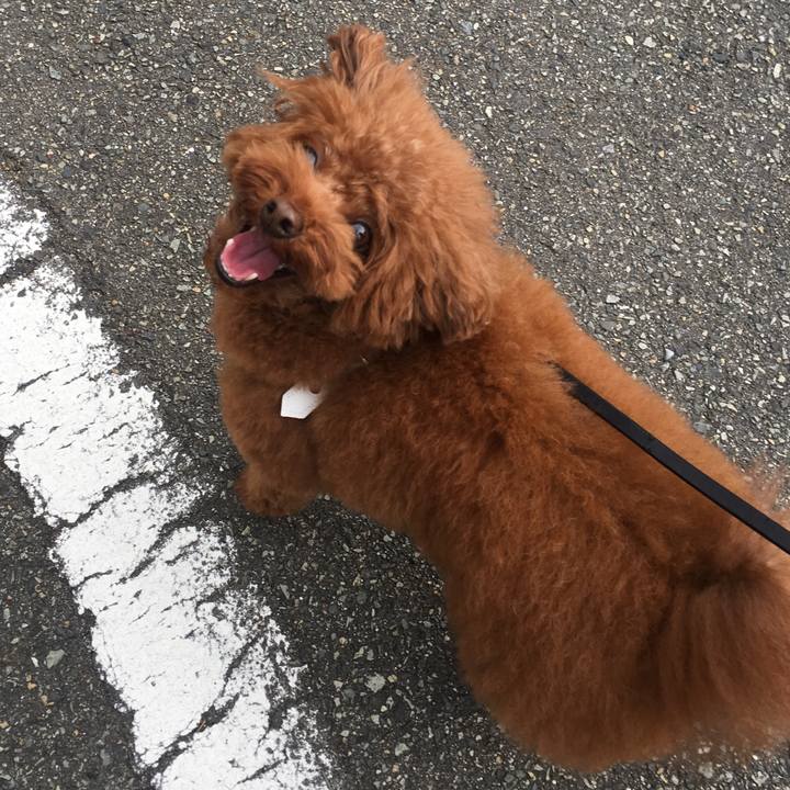 7c4d9332 3a42 44c0 a22f ff030d67a993 1536022922737