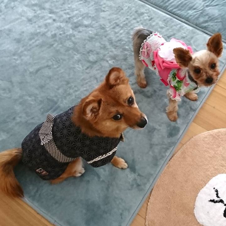 7c4db19f 154e 482d b78e 6165e55cca42 1532238381470