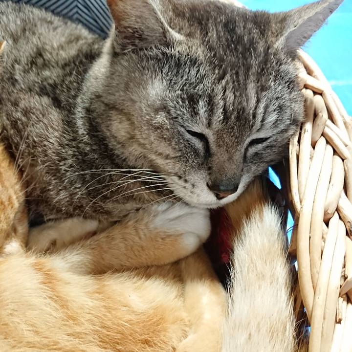 7c4df16c 18ee 4d4f 95cd 0dec63208f7b 1561790445486