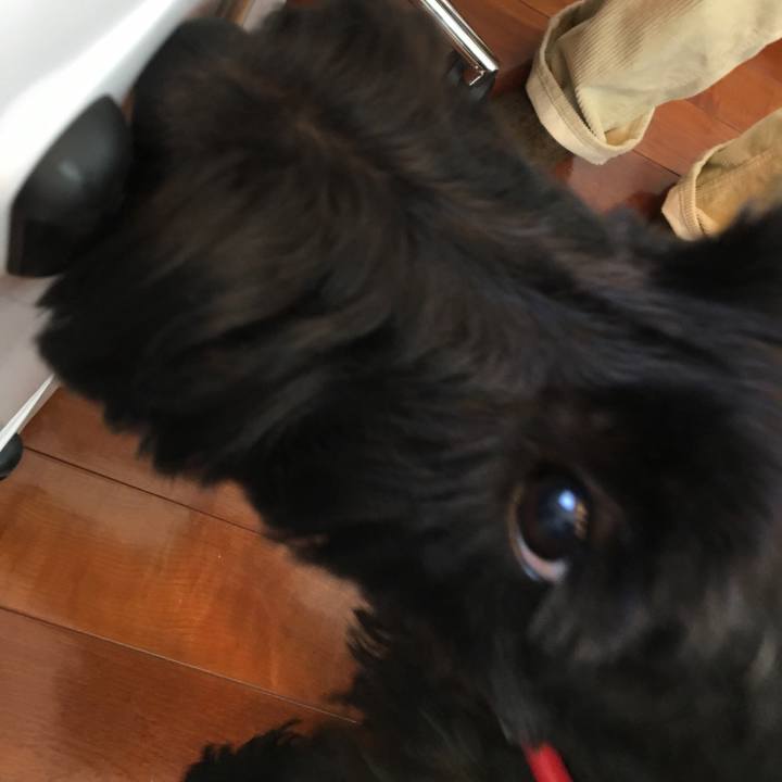 7c4e40e9 276a 4234 8368 7cea502c7cd6 1552662459599