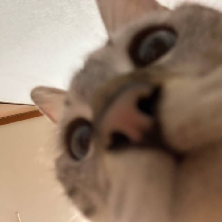 7c4e6958 321b 449a a1f0 74049f38dd84 1754743005401