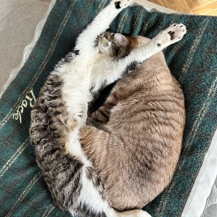 7c4e6a7f e61d 4f51 a3a4 8beeb068241a 1673964625595