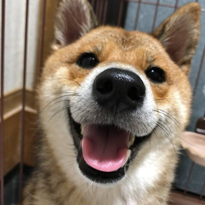 7c4e6c23 830c 47c9 9cbc e5d707e2394d 1535623677883