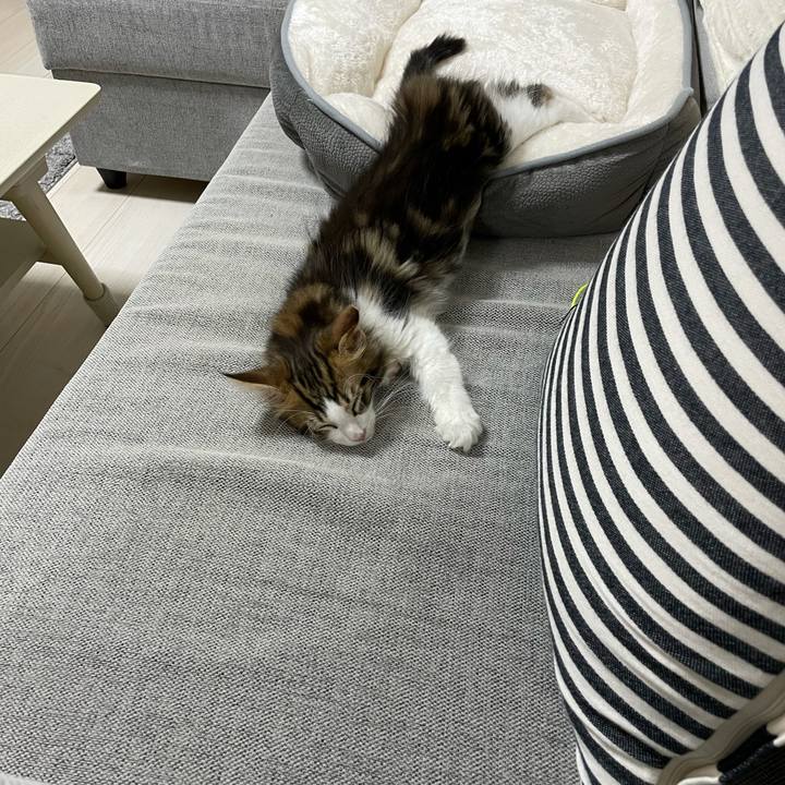 7c4e812d e137 4f36 bf8f 8d4e4d220ef1 1631878192064