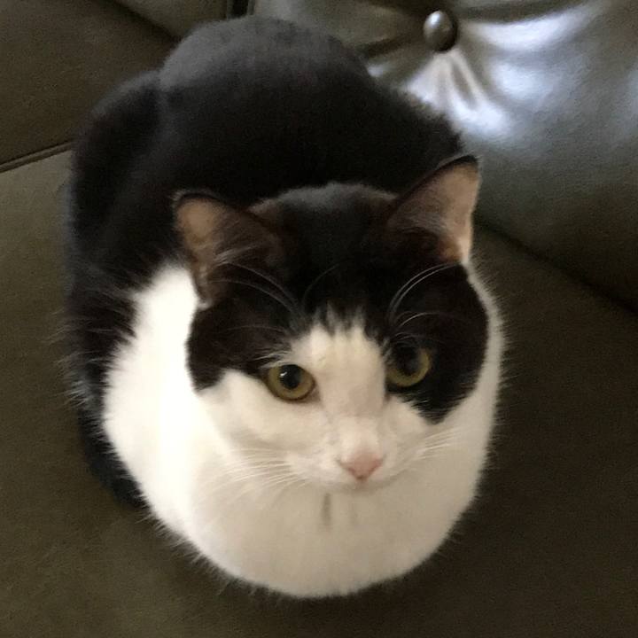 7c4e9437 e8cd 4b0c 99e2 43ca71d0bb53 1512874213176