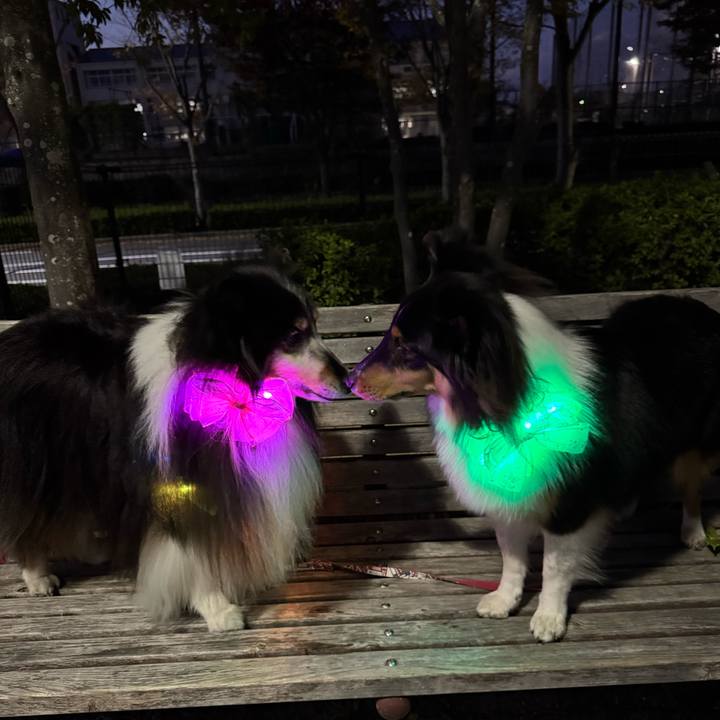 7c4ea829 390e 4148 8c4d baee9c3f78d9 1763481416228