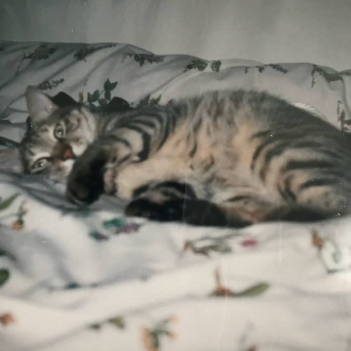 7c4ead90 89e2 40b1 9036 5d63599137e4 1735446775752