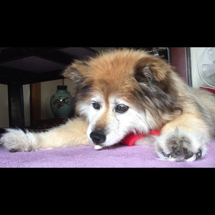 7c4ed5f3 50b4 4d43 8b01 71746b258c61 1587870794146