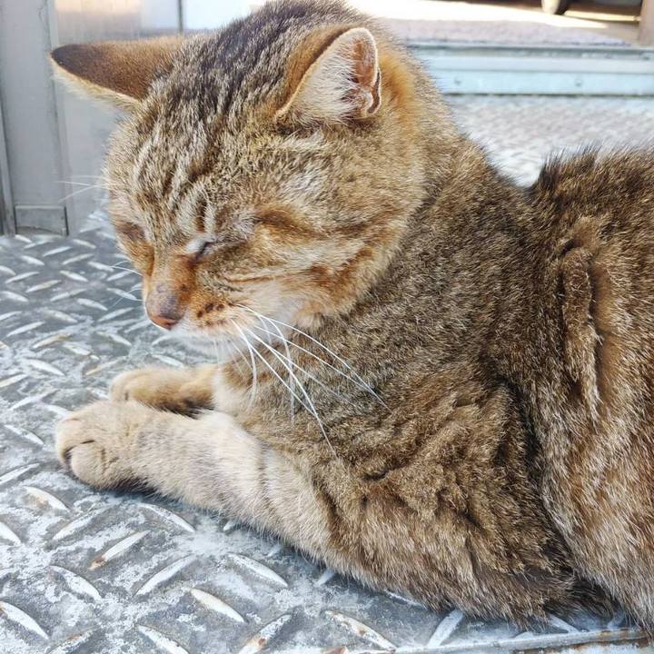 7c4ee458 2004 4e0c 866e 4fc30548868a 1622332361877