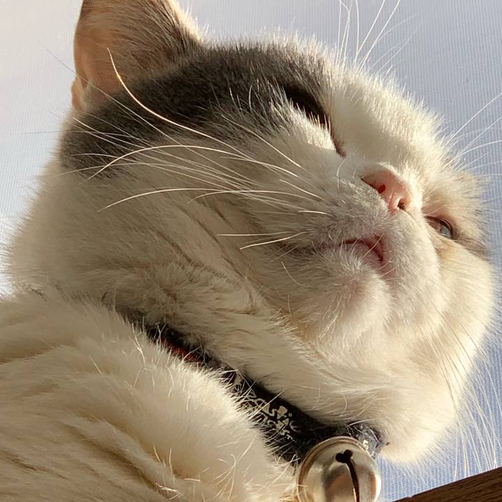 7c4eee19 4ab4 41d4 a516 2ca2832b332b 1611970444360