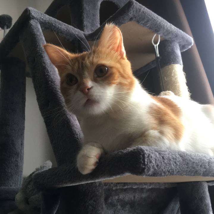 7c4f01dd 46fd 4e8a 8f17 ff16d5932a1a 1510378801896