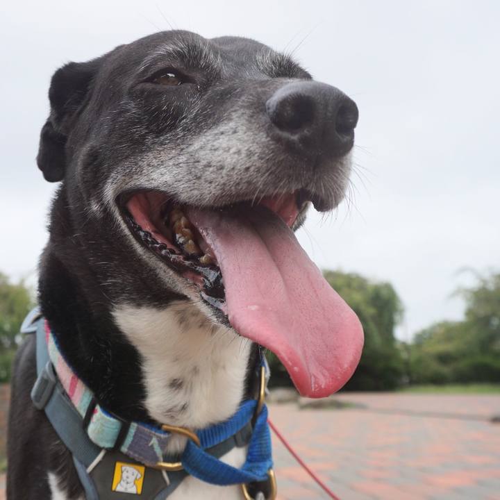 7c4f061b b1ba 45c1 a01d 30303acf753d 1755046379454