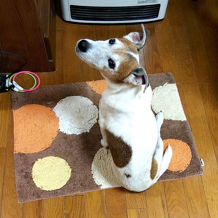 7c4f08a0 c03c 45d7 9f34 dcc09e34be84 1546897164809