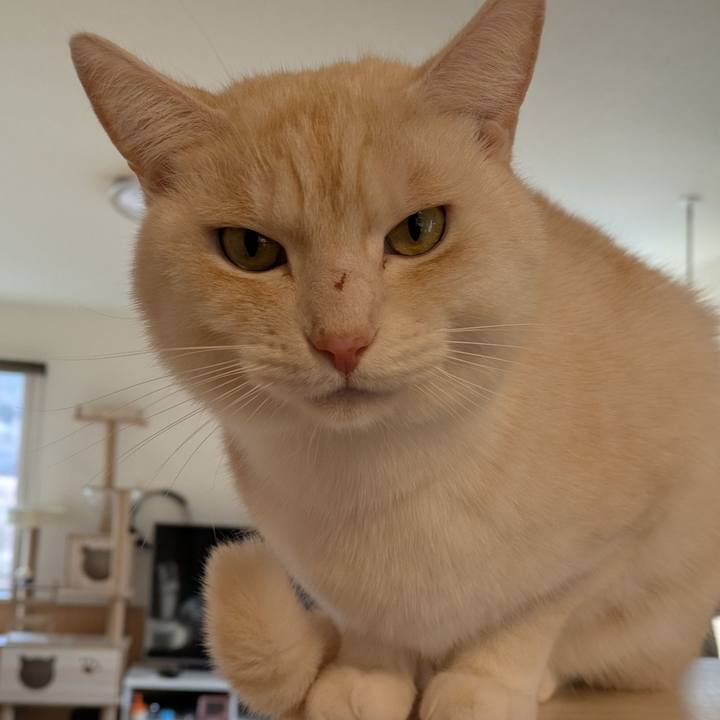 7c4f3aed 7ee9 401e b57a 0117f152f819 1735429158251