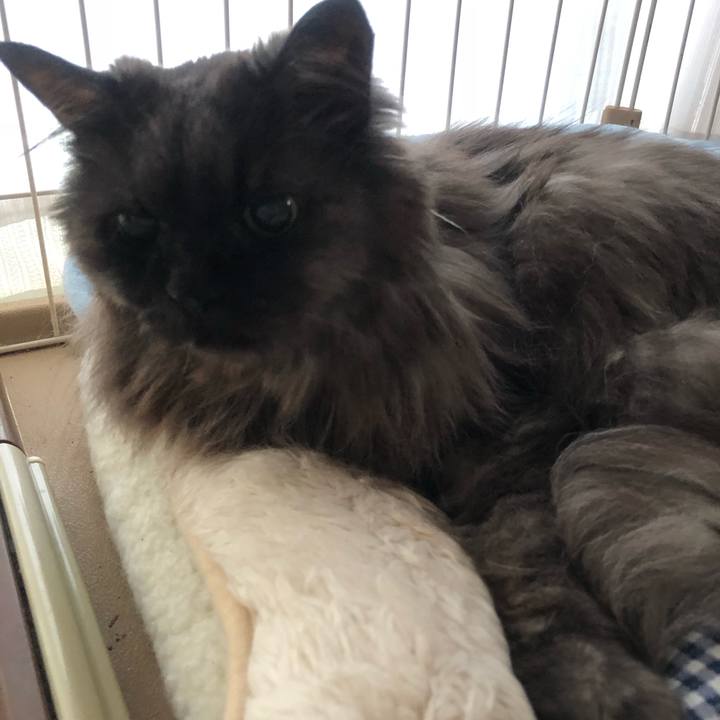 7c4f5c0f a185 4fe0 a904 975b205ac9d4 1534025476572