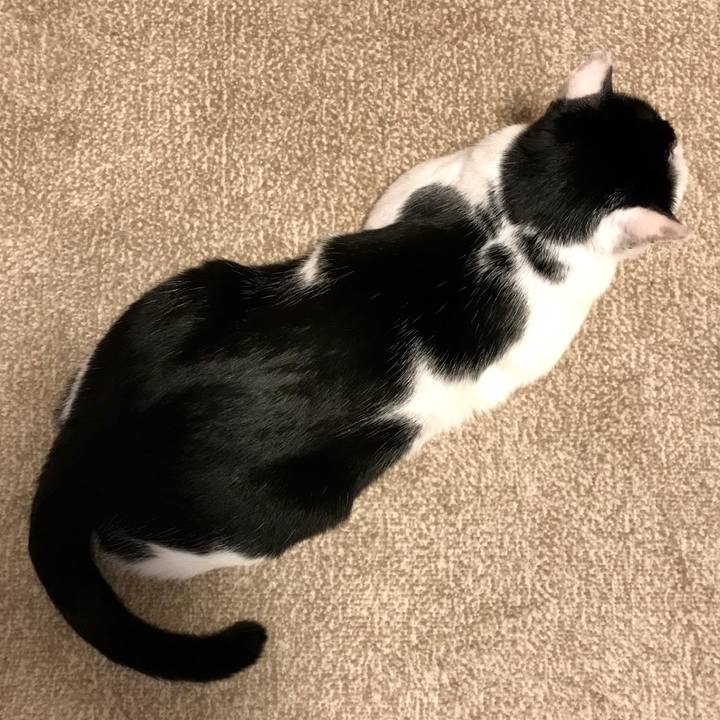 7c4f5d38 2ae7 4e7d 8fb6 b690d83aae9c 1510577218957