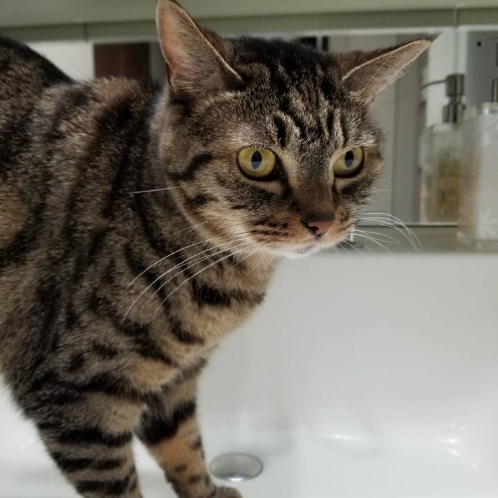 7c4f63db 7f20 4e2a 9f03 9188830dd64e 1599260493993