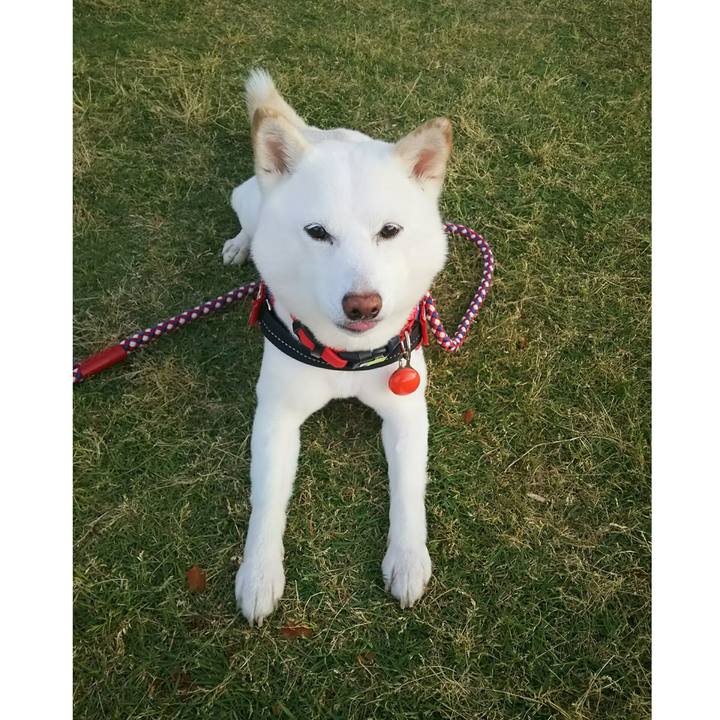 7c4f6d7f 50d6 466d b057 c9b29adf0d0d 1591436374499