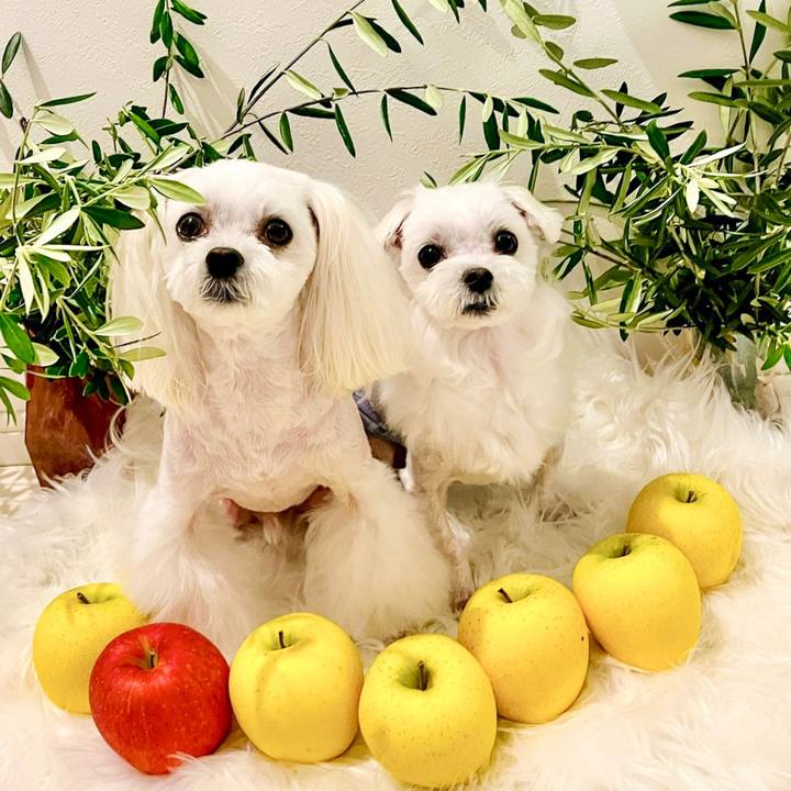 7c502c12 260c 4b3b 8cdd c7815e91d2cd 1685594973085