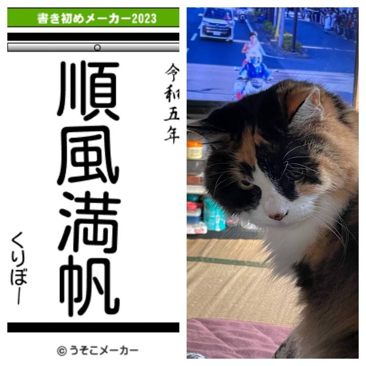 7c505df6 2a65 49e7 9aa7 cfada35aa1ff 1672633137146