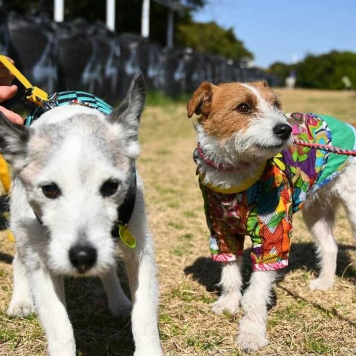 7c507191 94ce 4f0b a4e7 c590b7cb7c95 1652359494559