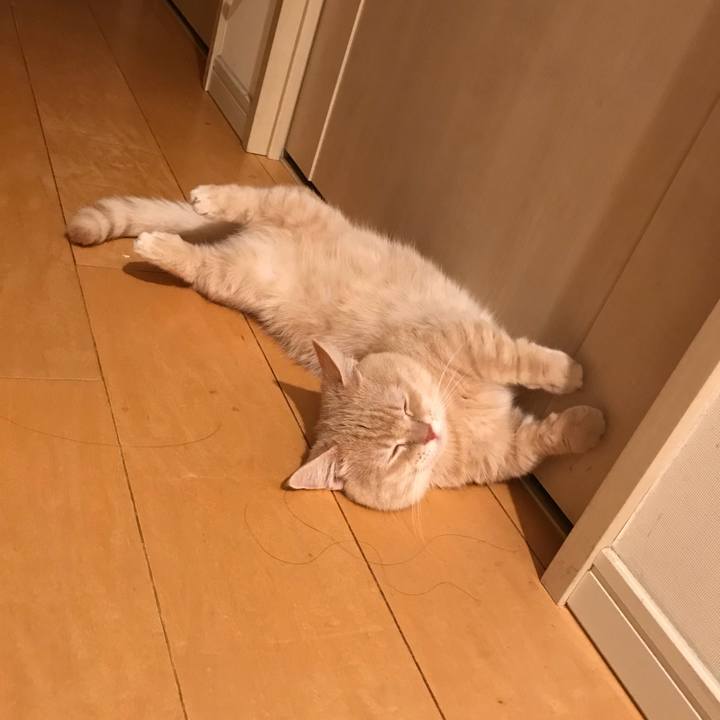 7c507ac4 3807 4db1 b3c6 218a9ab8b0f9 1523831515633