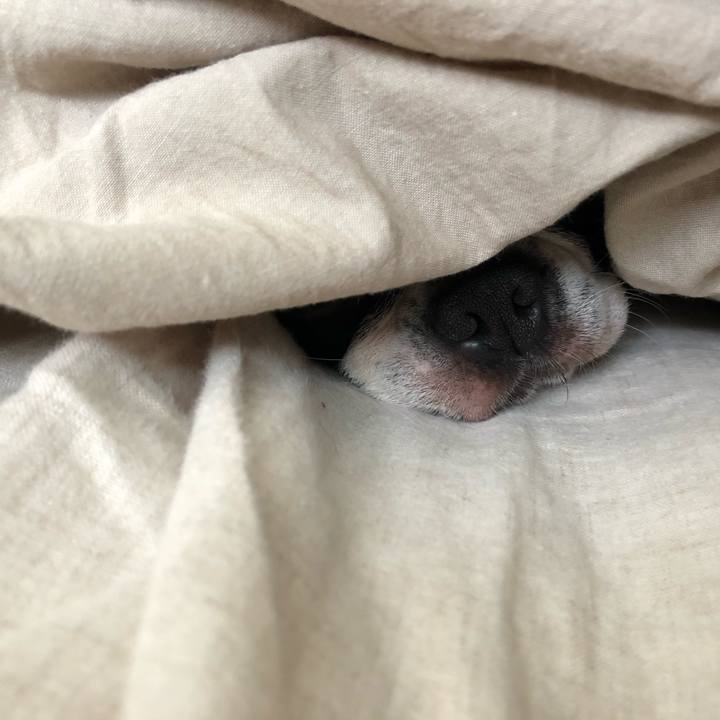 7c507b66 ea64 4573 aa8b 1a6fb1b45aba 1536641568741