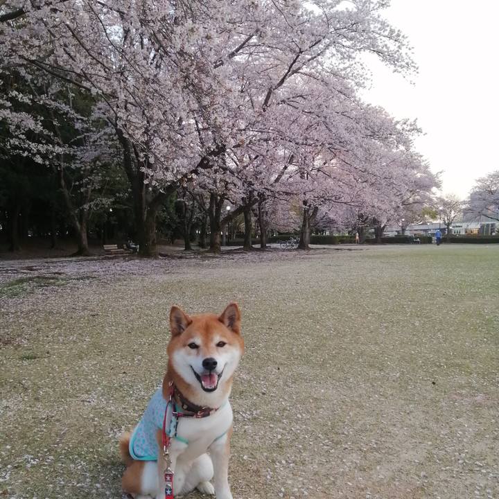 7c509747 a0ee 4534 94fe 519bf5347f61 1680338576365