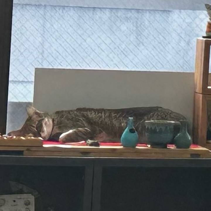 7c50b834 de6d 48fa 8198 efce1f14622d 1768537248046