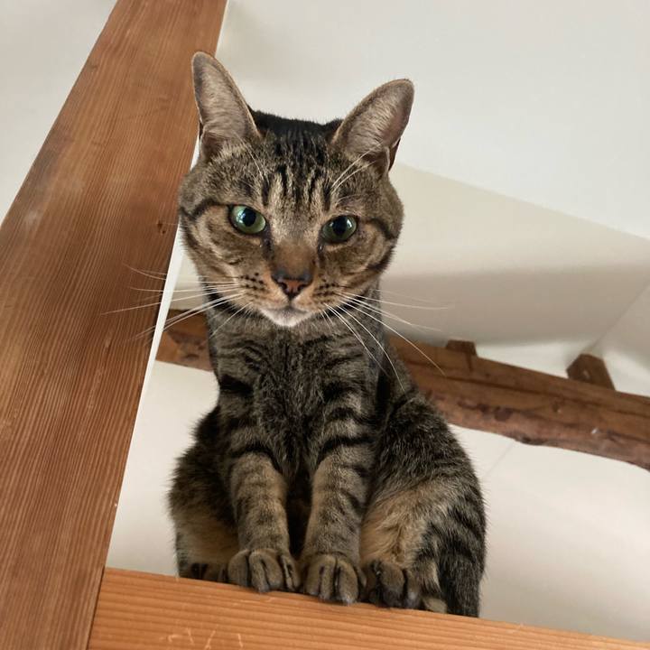 7c50b8a1 b2fc 4970 8445 45df32ae661b 1714174260866