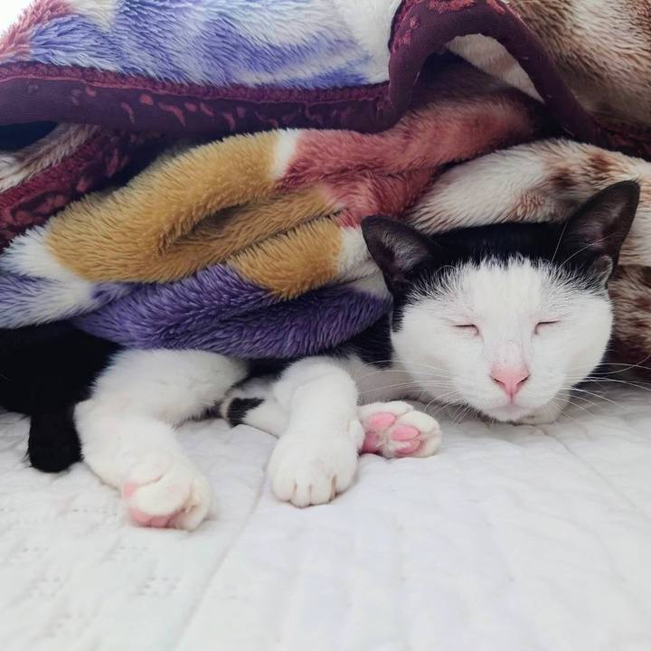 7c50c5ae af03 46ff b3b7 597c231f2a4b 1636718834338