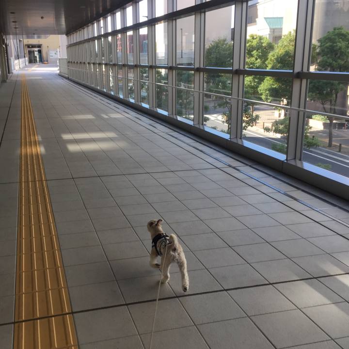 7c50d525 71f0 4ffa aacd be58f156e01e 1541222383163