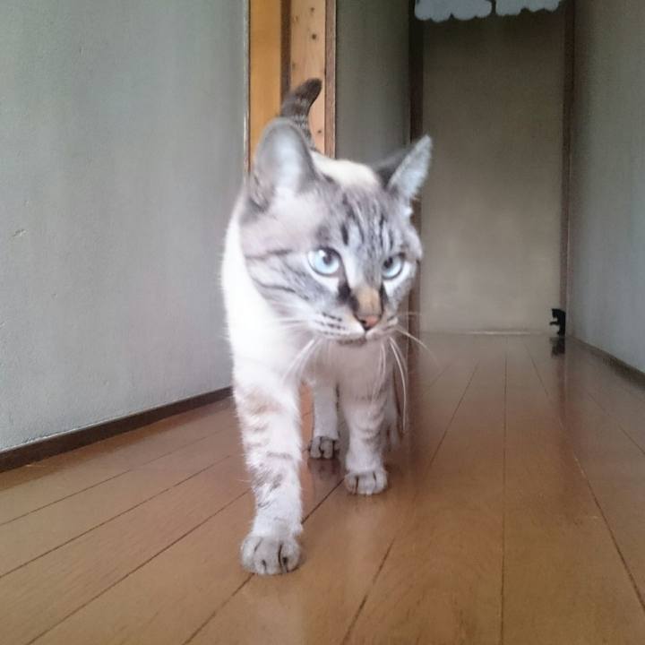 7c50d97b 9520 4c20 87aa 159d026c881a 1510015124199