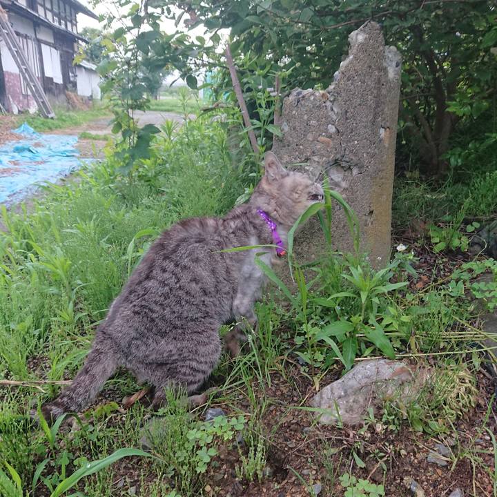 7c50e290 b499 4ae9 aca7 7c7d1a6e4f8c 1595017581657