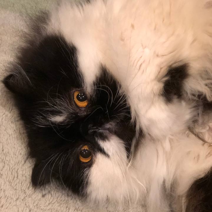 7c515259 5911 41cd b45b 062017f44d5d 1582898160092