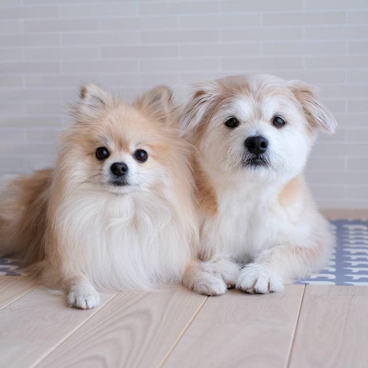 7c51533b 8e65 41ef 9e4e 2f2542164eb8 1774474291769